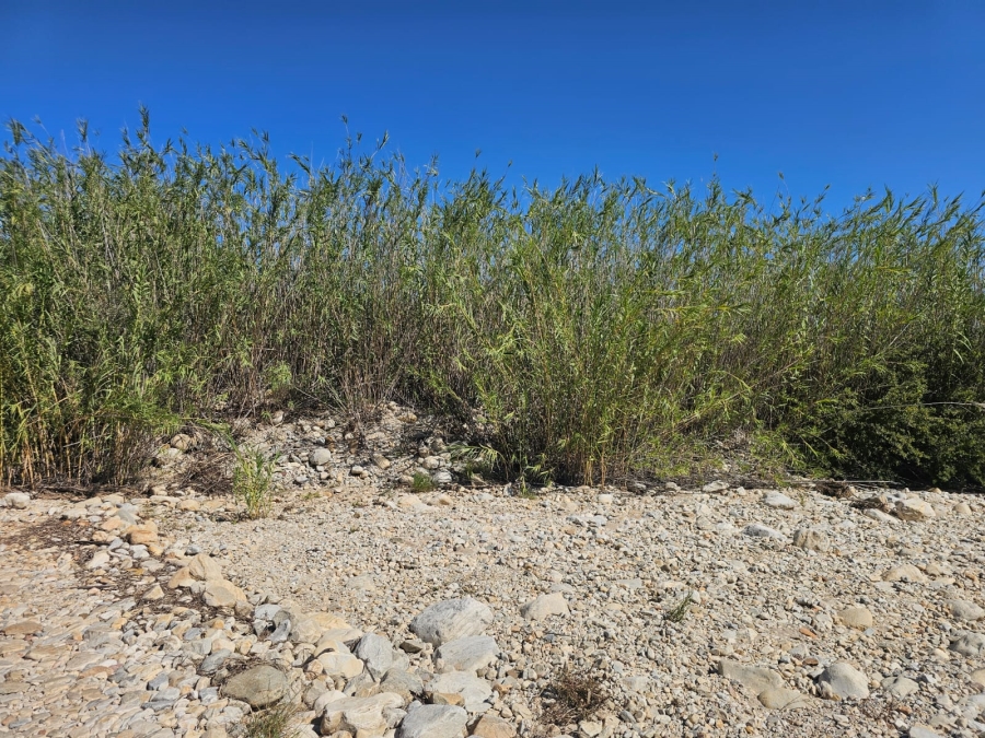 5 Bedroom Property for Sale in Ladismith Rural Western Cape